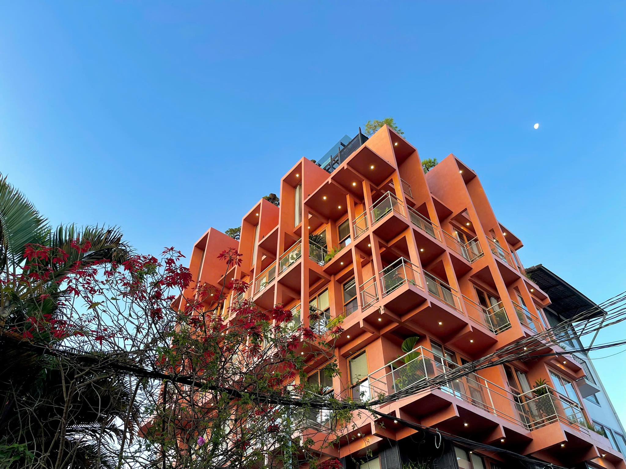 dự án The Pink Boutique